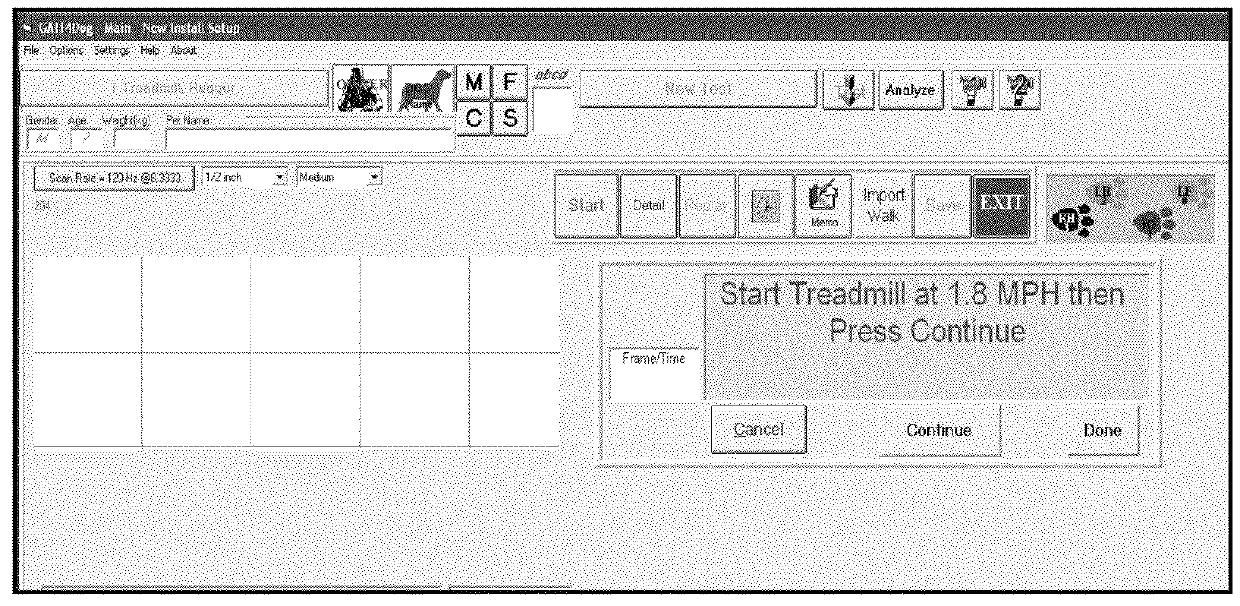 System and method to detect and quantify lameness in animals