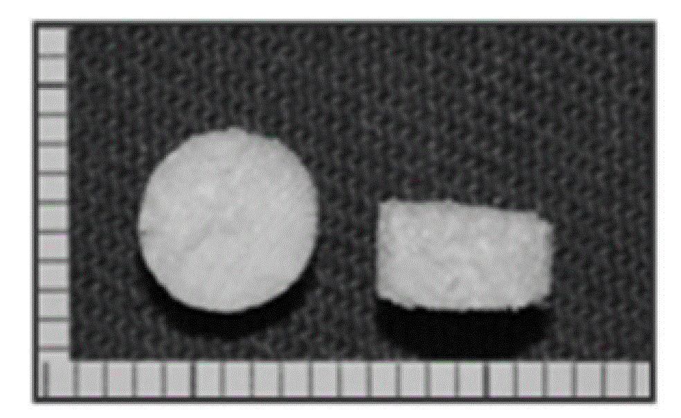 Extracellular matrix support material and preparation method thereof