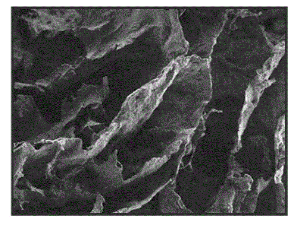 Extracellular matrix support material and preparation method thereof