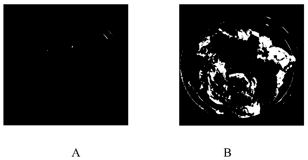 A method for promoting drying and dehydration of potato dregs and its application