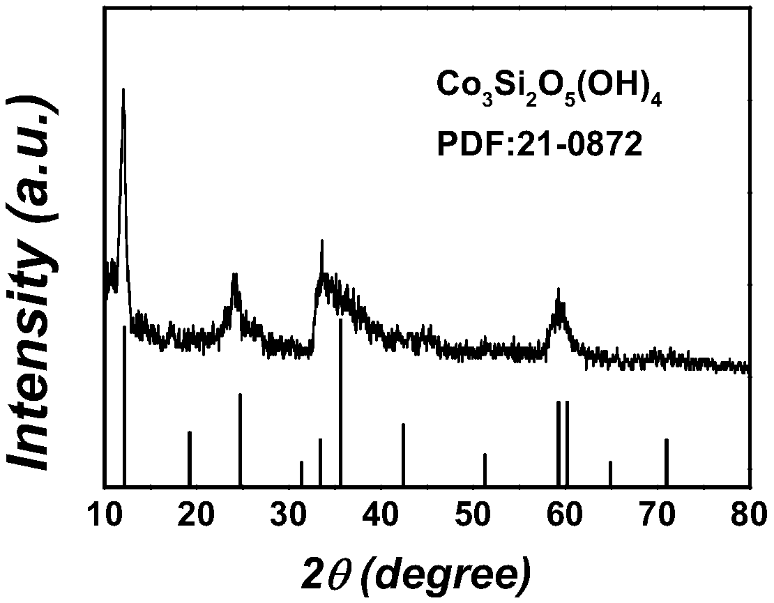 Cobalt silicate hydroxide/carbon nanotube flexible composite thin-film material and preparation method and application thereof