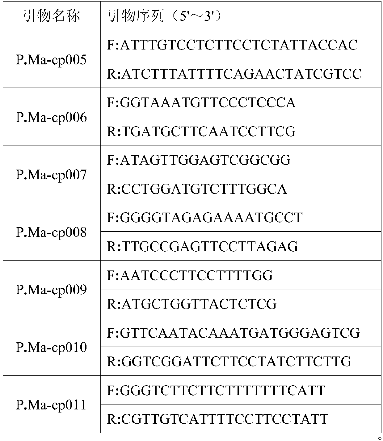 Pinus massoniana cpSSR polymorphism primer and identification method of pine sibling species of primer