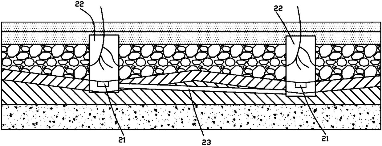 Sponge city street tree feeding system