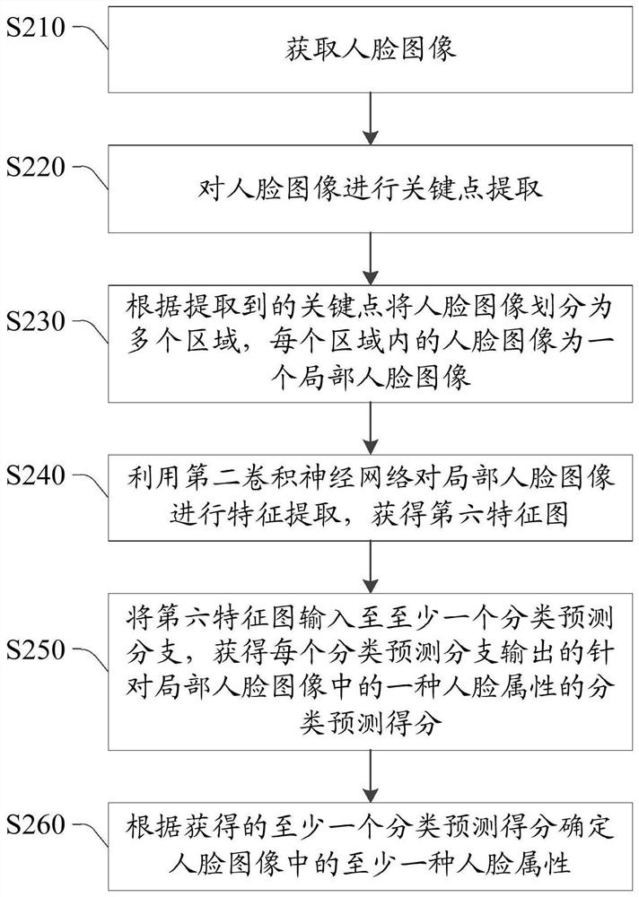 Skin analysis method and device, storage medium and electronic equipment