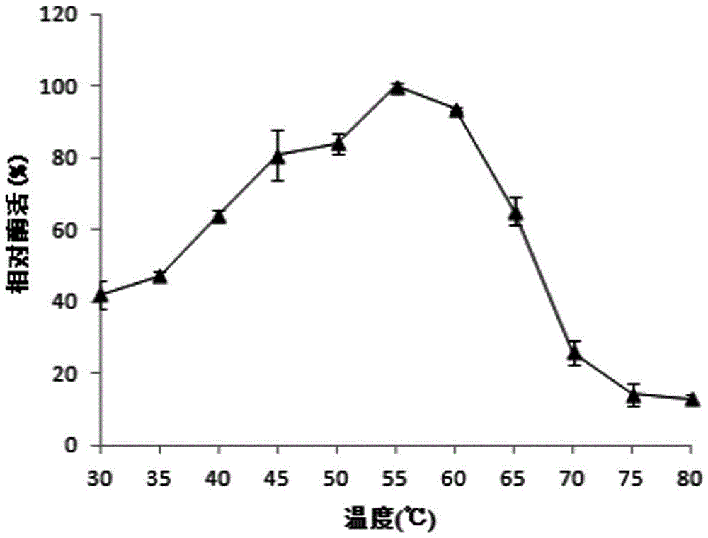 Thermally stable mutant aromatic sulfatase and its gene and use