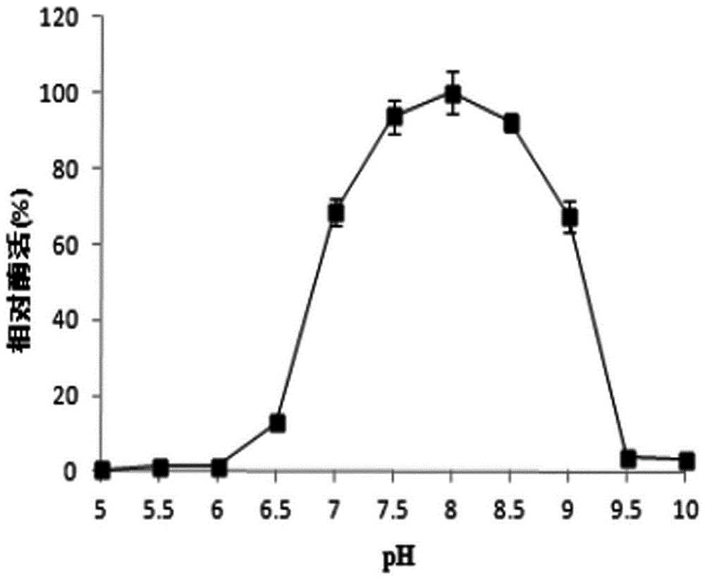 Thermally stable mutant aromatic sulfatase and its gene and use