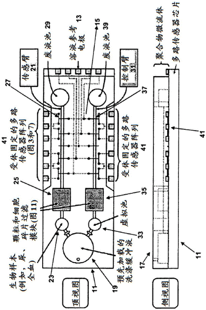 Biomolecular detection test strip design