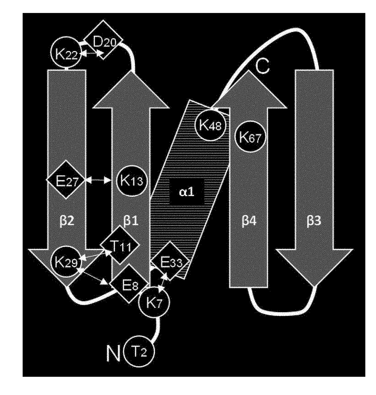 Immunoglobulin-binding polypeptide