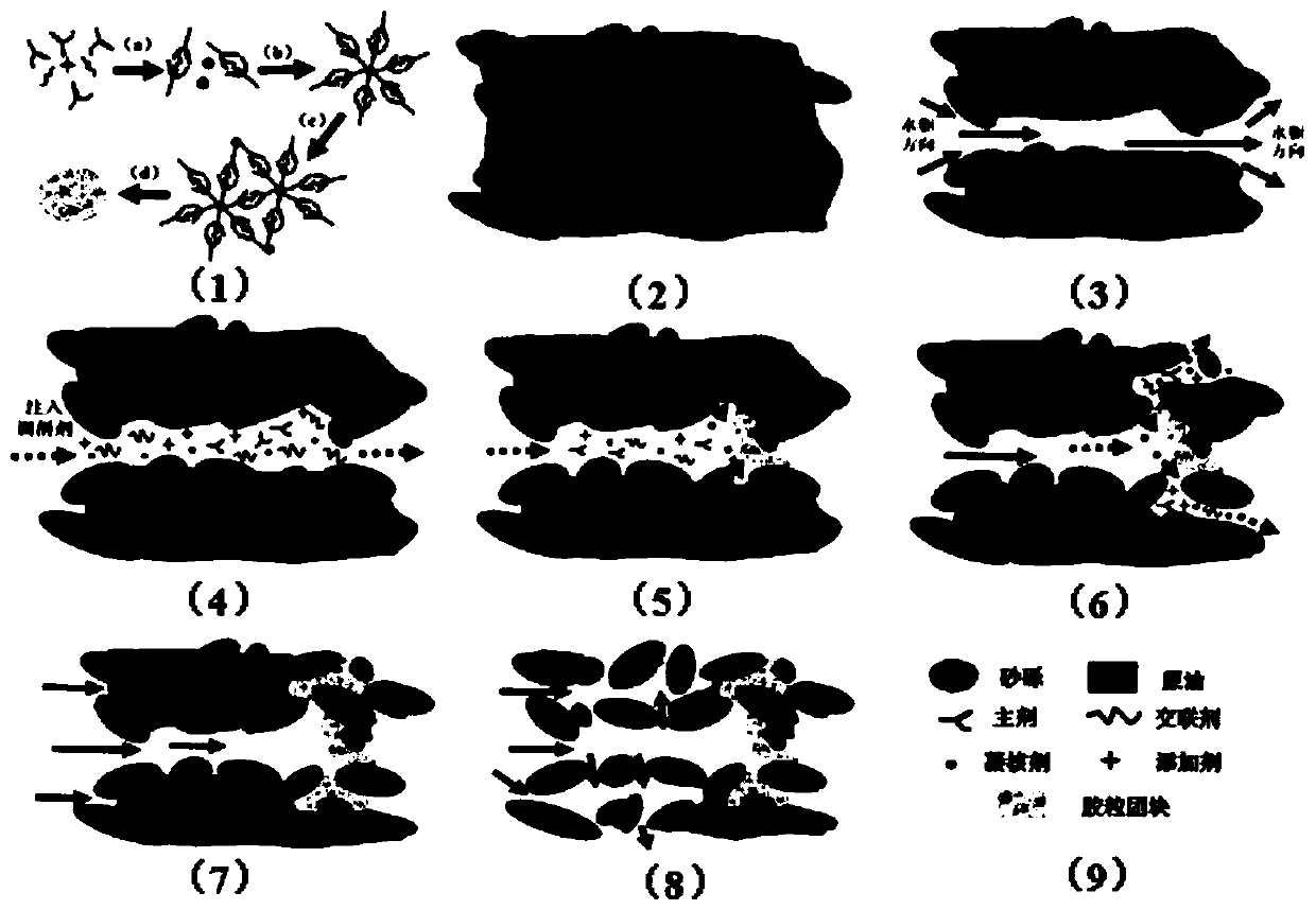 Particulate profile control agent self-adaptive to pore throat size of stratum and preparation method for particulate profile control agent