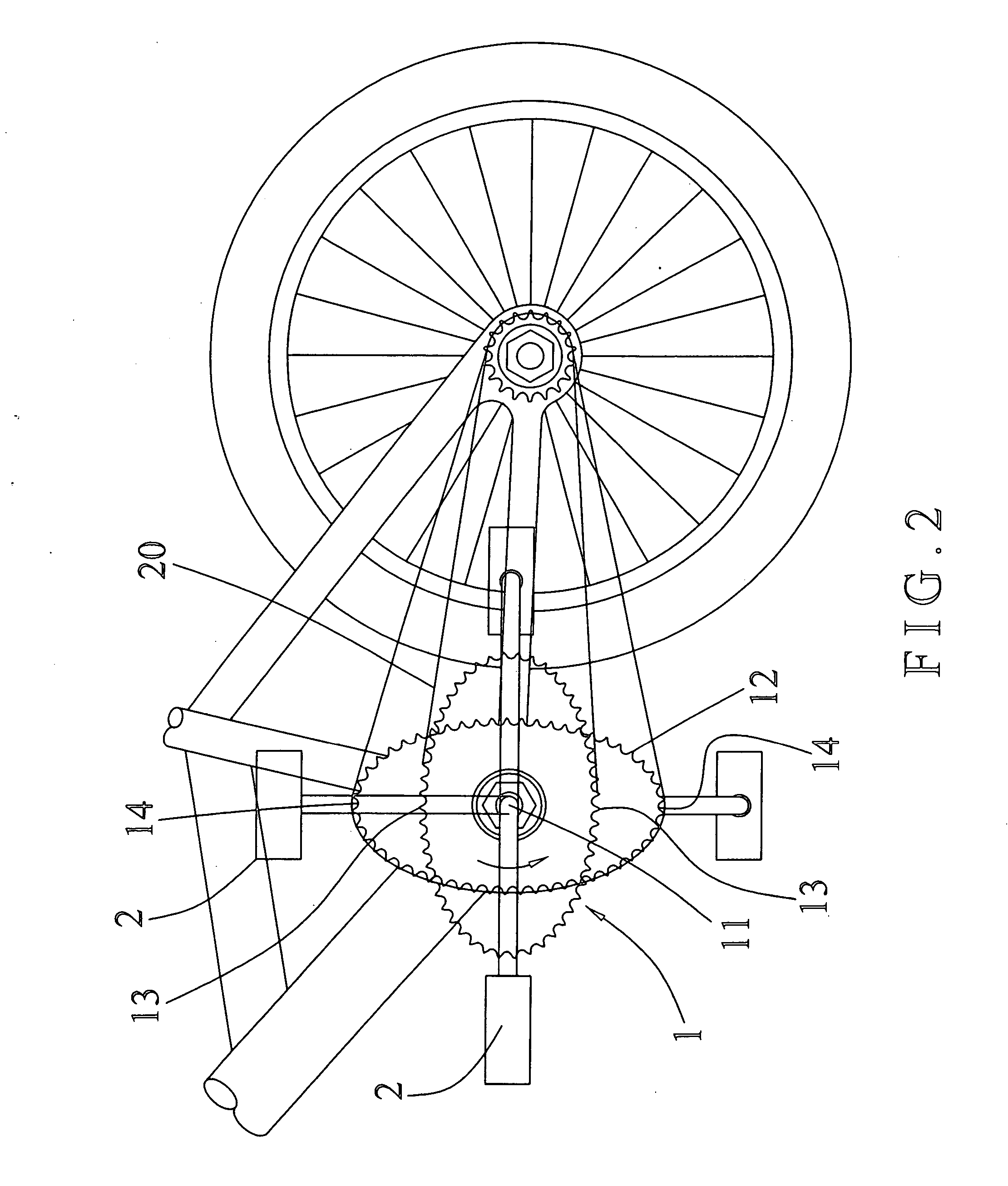 Chain wheel for bicycle