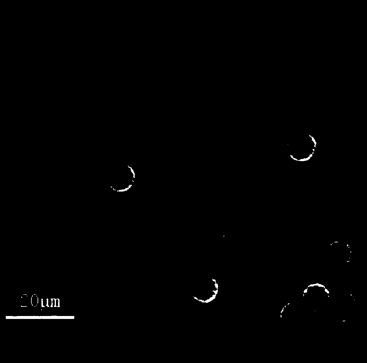 Visible light catalyst for high-efficiently degrading organic dye waste water and preparation method thereof