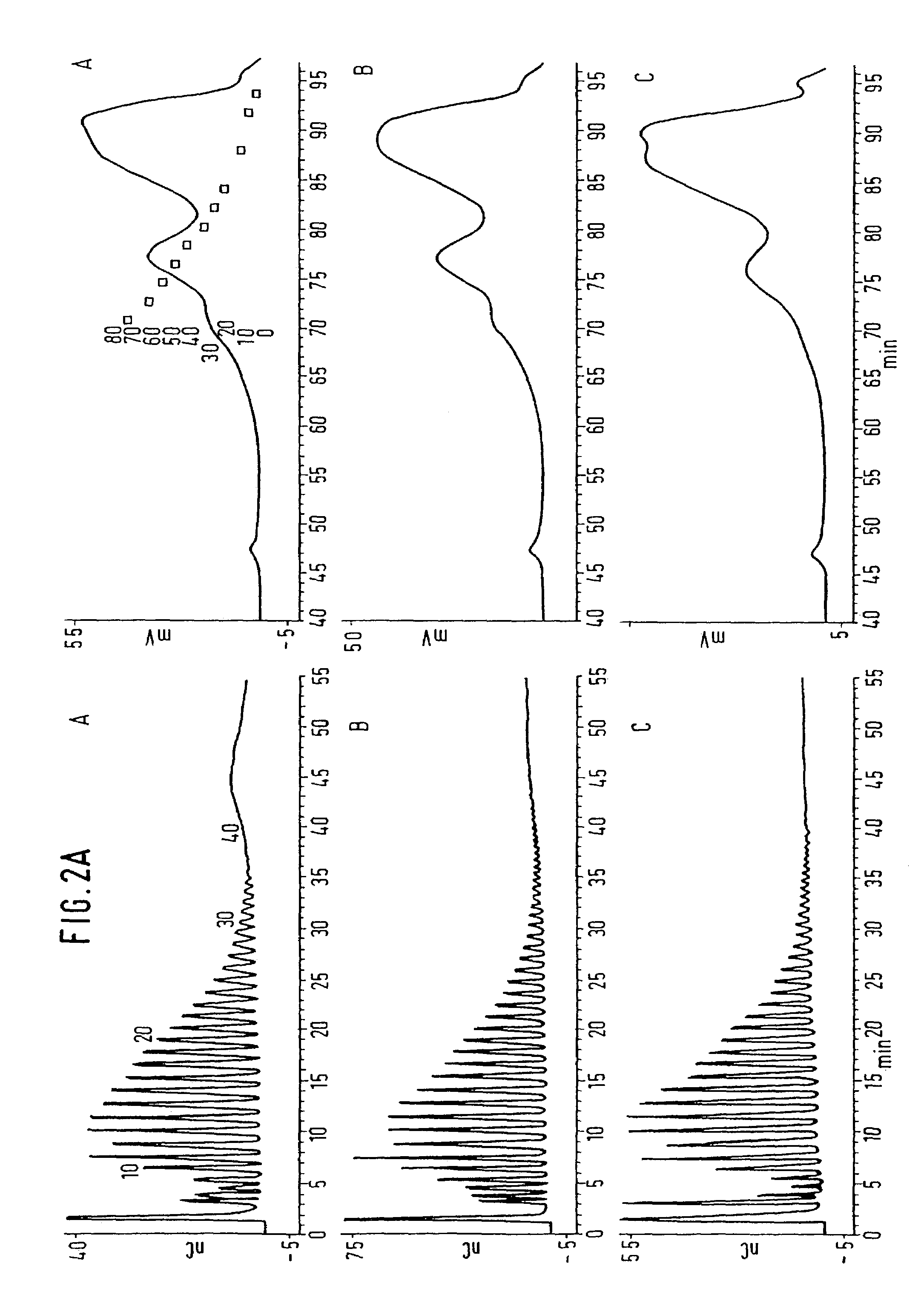 Plants synthesizing a modified starch, a process for the generation of the plants, their use, and the modified starch