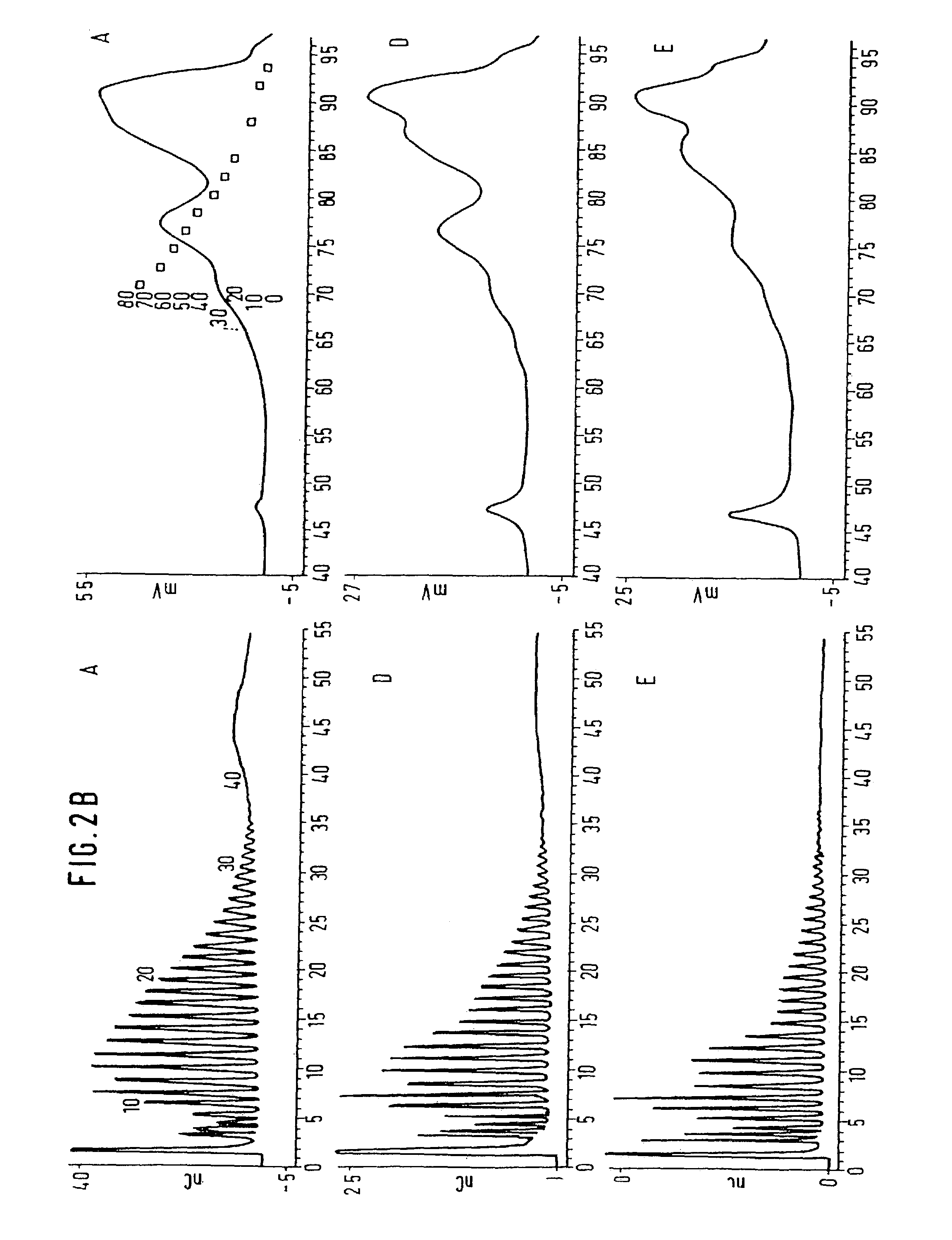 Plants synthesizing a modified starch, a process for the generation of the plants, their use, and the modified starch