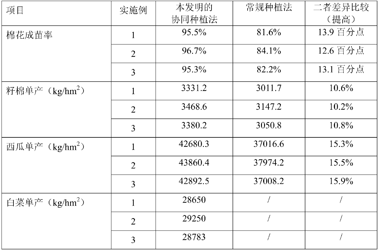 Coordinated efficient planting method for cotton, watermelons and Chinese cabbages in saline-alkaline land