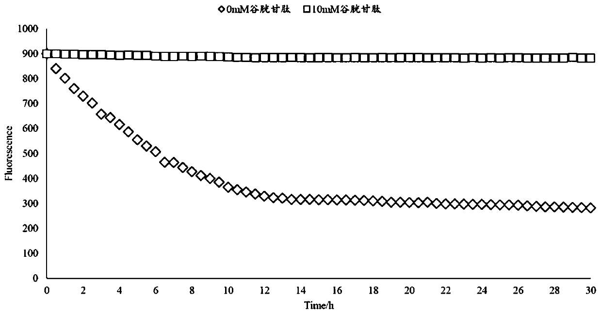 Microcapsule with extended release active pharmaceutical ingredient and preparation method thereof