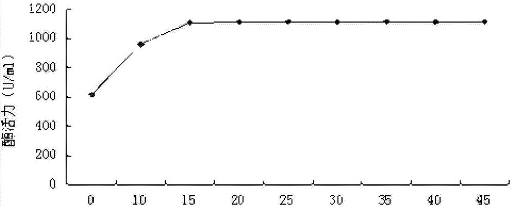 Enzyme unhairing assistant and preparation method thereof