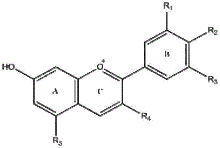 Construction method of three-dimensional quantitative structure-activity relationship model for antioxidant activity of anthocyanins