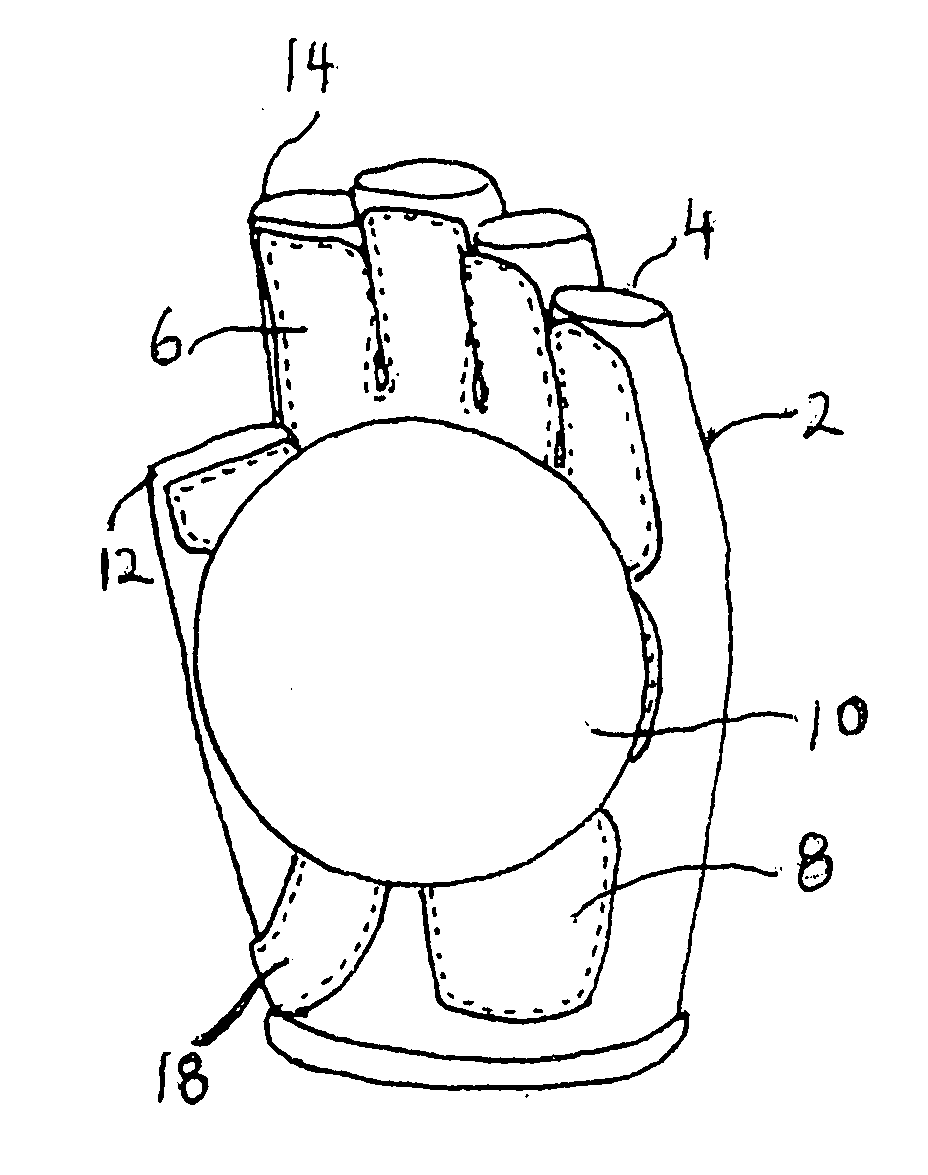 Training Strap and Glove