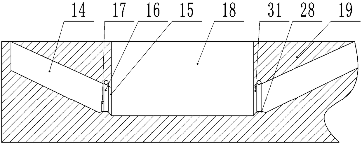 Vegetable planting equipment