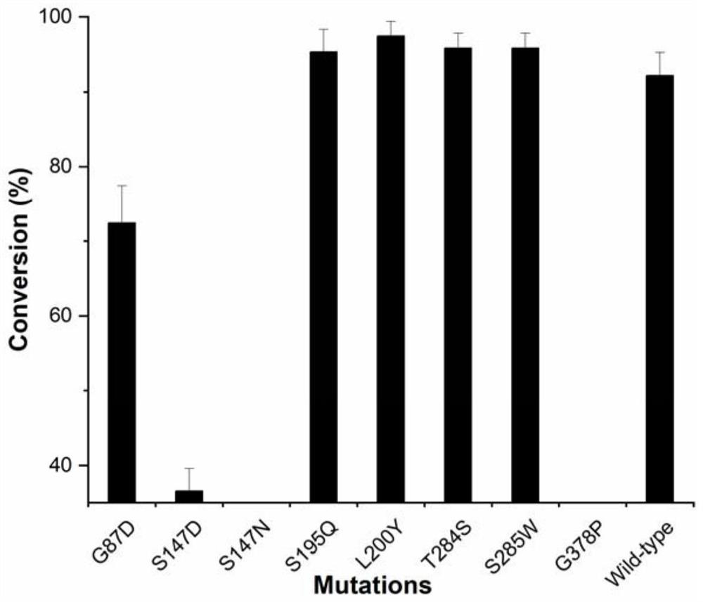 Glycosyl transferase mutant and method for catalytically synthesizing rebaudioside M by using glycosyl transferase mutant