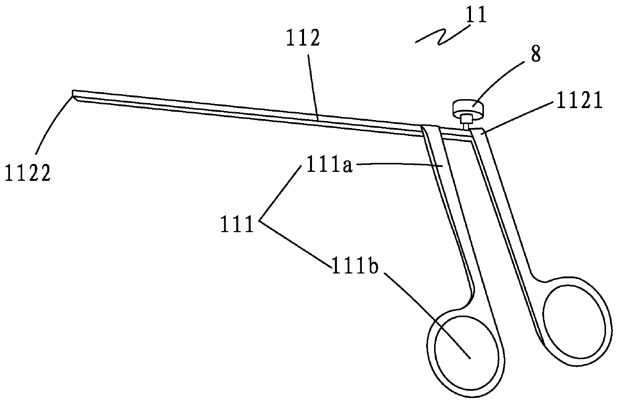 Intracavity tissue endoscope Raman spectroscopy detection device