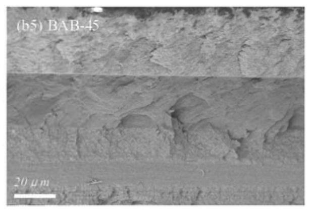 Polypropylene composite dielectric with high energy storage density interlayer and preparation method thereof