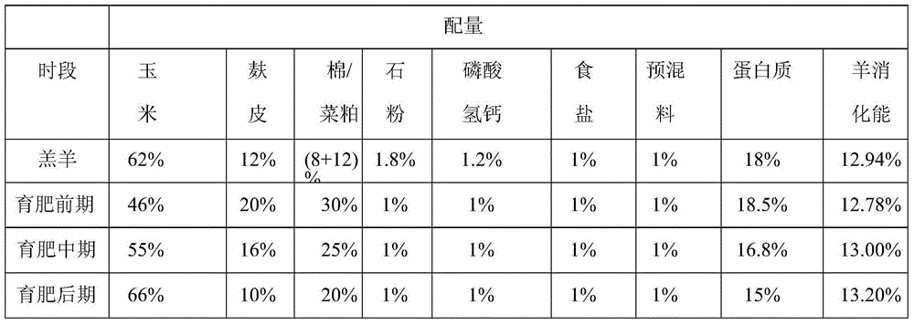 Breeding raising method for meat sheep