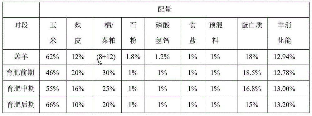 Breeding raising method for meat sheep