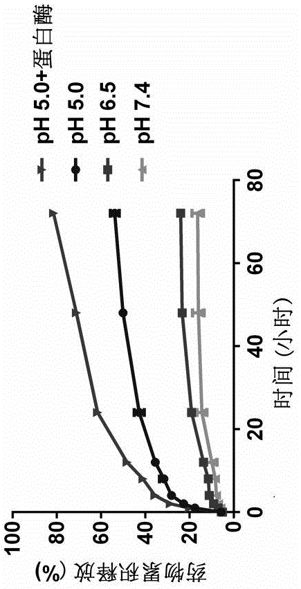 Natural sericin encapsulated mesoporous silicon nano-carrier and preparation method and application thereof