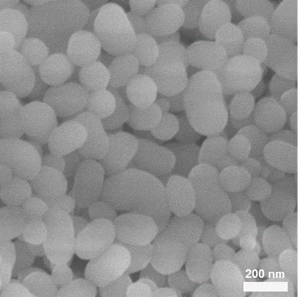 Natural sericin encapsulated mesoporous silicon nano-carrier and preparation method and application thereof