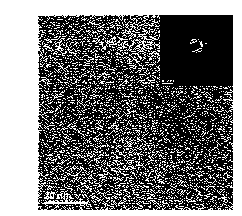 Method for quantum dot improvement and synchronous monitoring of antibacterial performance of ceftriaxone sodium