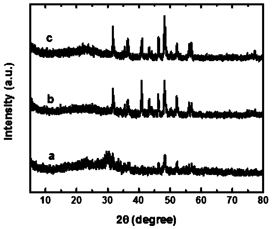 Method for preparing biomass carbon loaded cobalt phosphide electrode material through one-step calcination