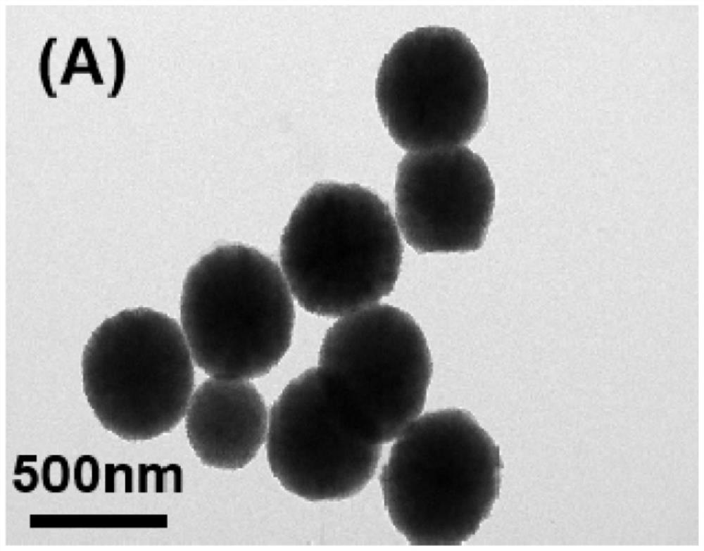 Method for detecting norovirus