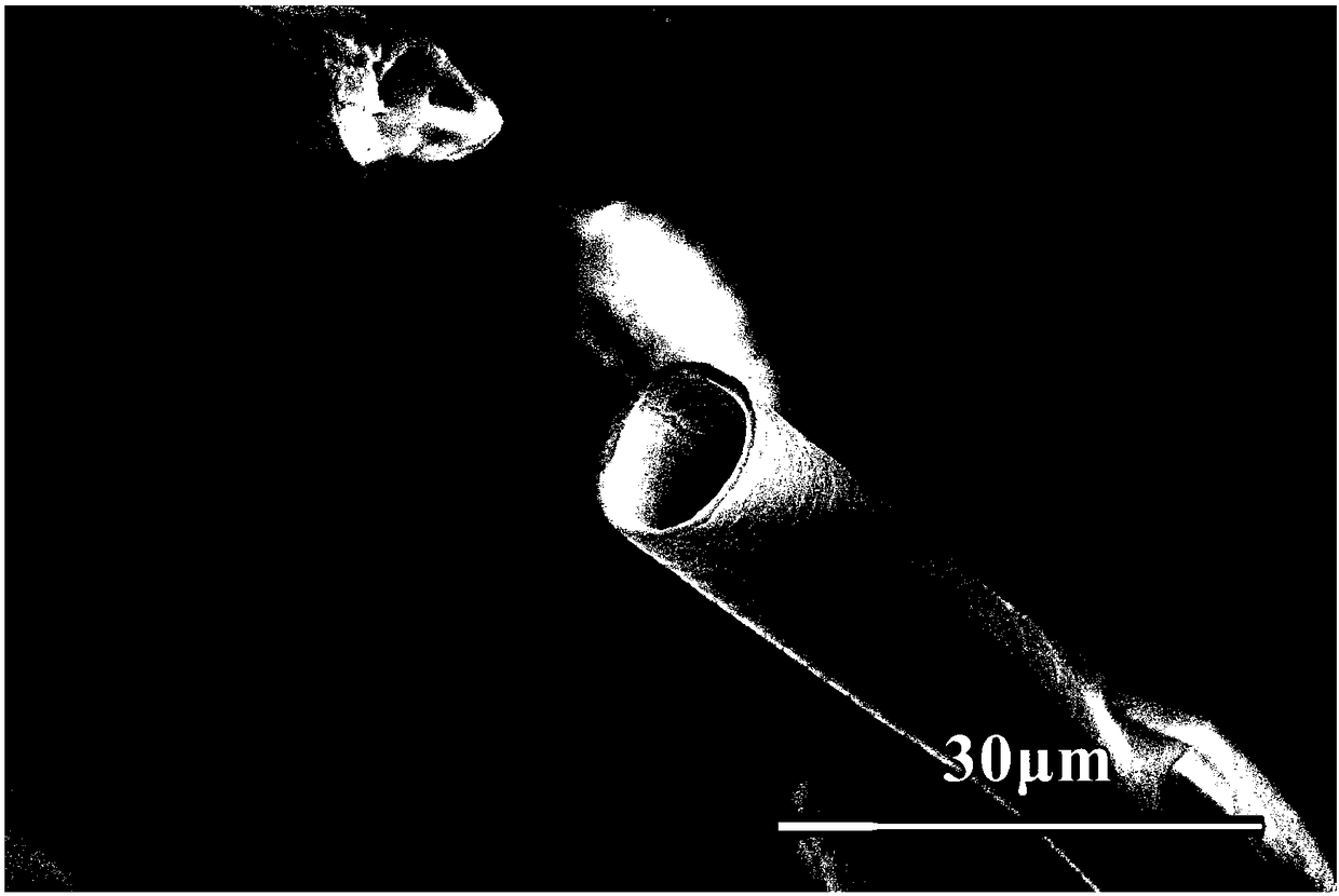 Method for obtaining hollow zirconia fiber by microwave sintering of Metaplexis japonica (Thunb.) Makino. fiber