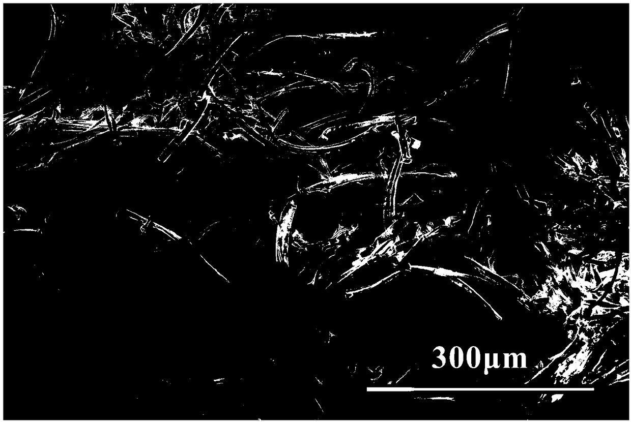 Method for obtaining hollow zirconia fiber by microwave sintering of Metaplexis japonica (Thunb.) Makino. fiber