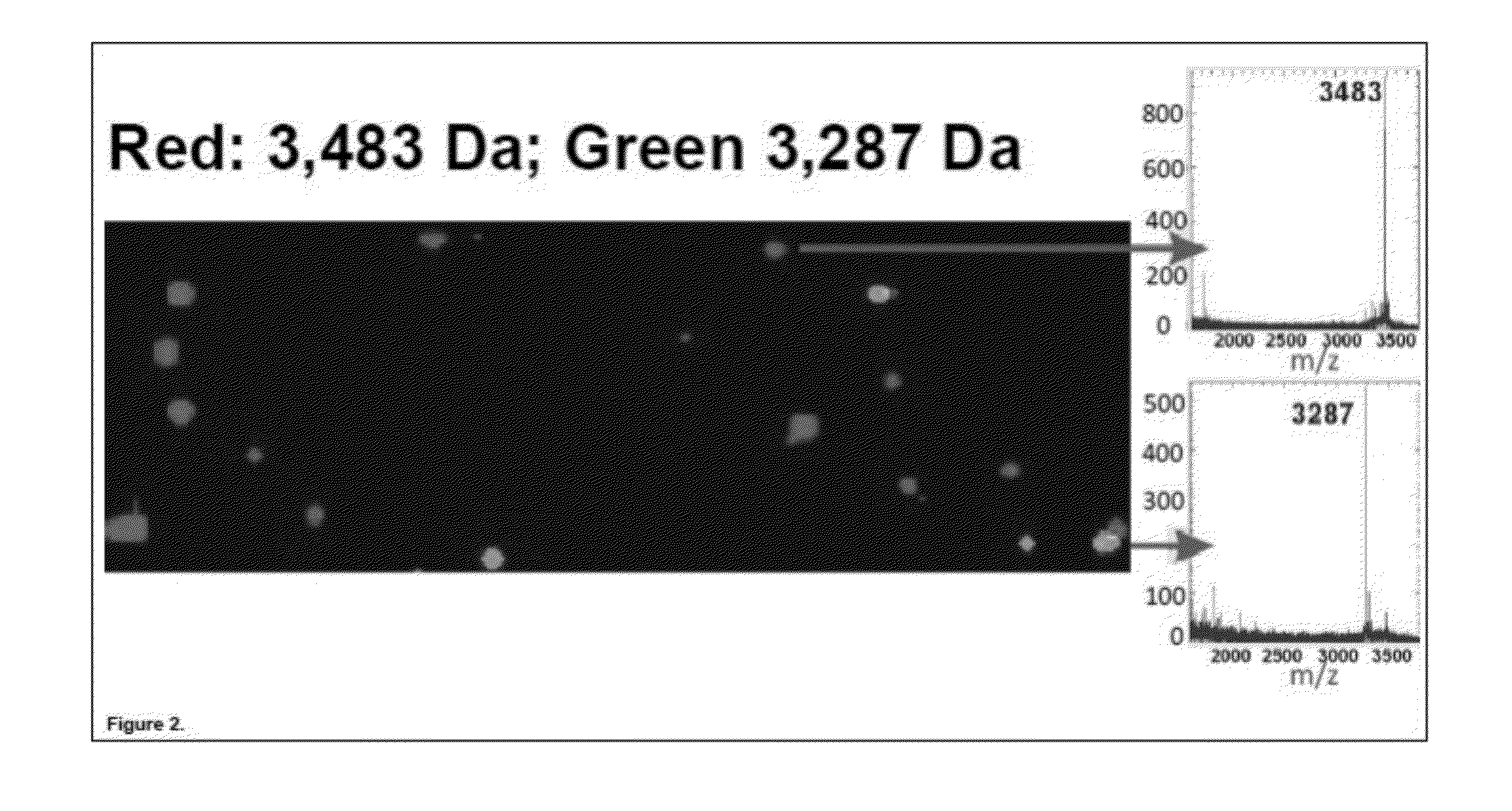 Global Proteomic Screening Of Random Bead Arrays Using Mass Spectrometry Imaging