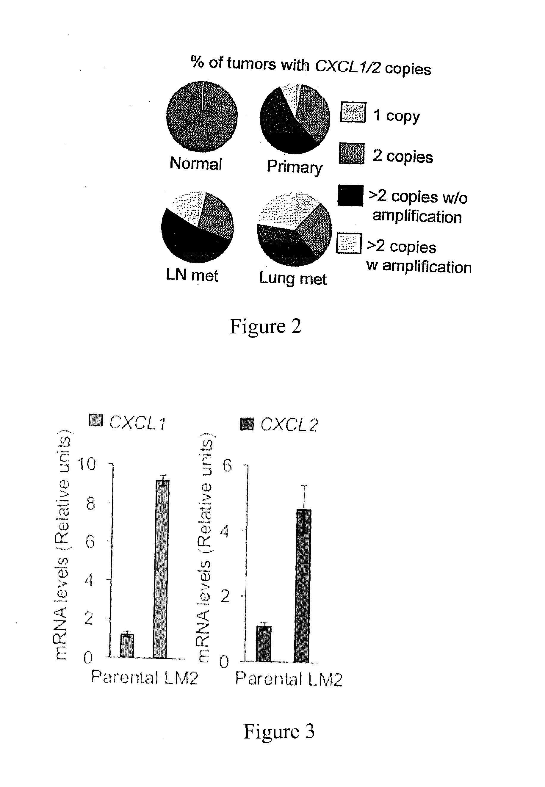 S100A8/A9 as a Diagnostic Marker and a Therapeutic Target