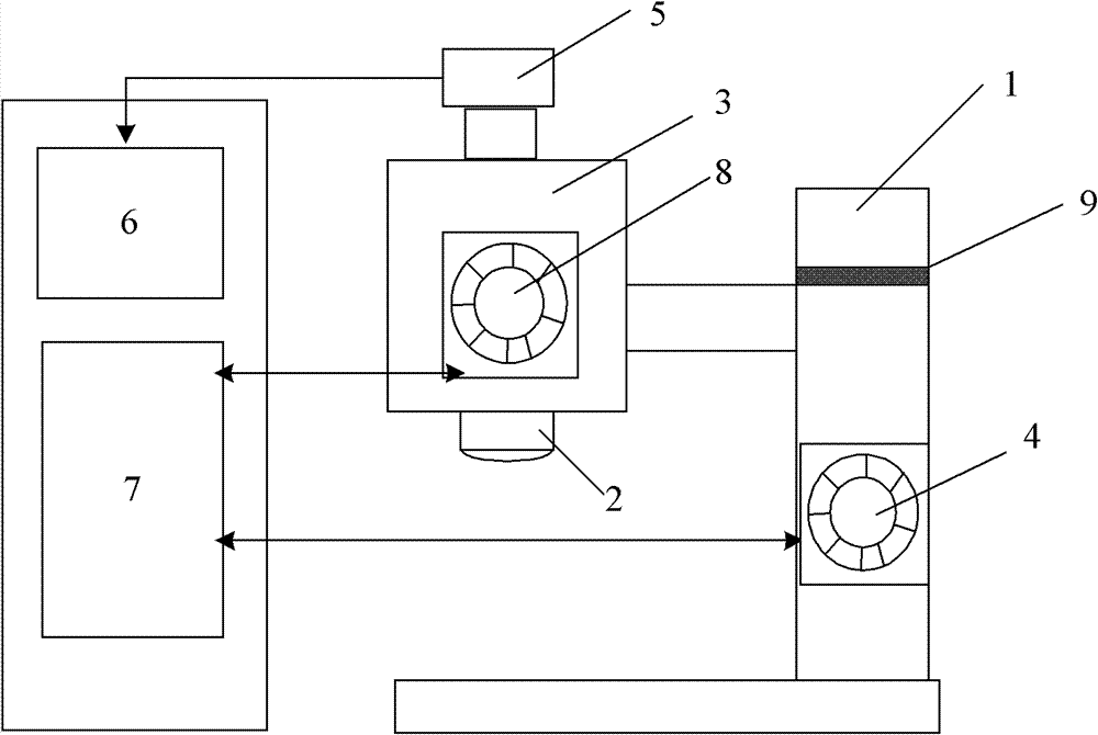 Zoom-stereo microscope detection device and method