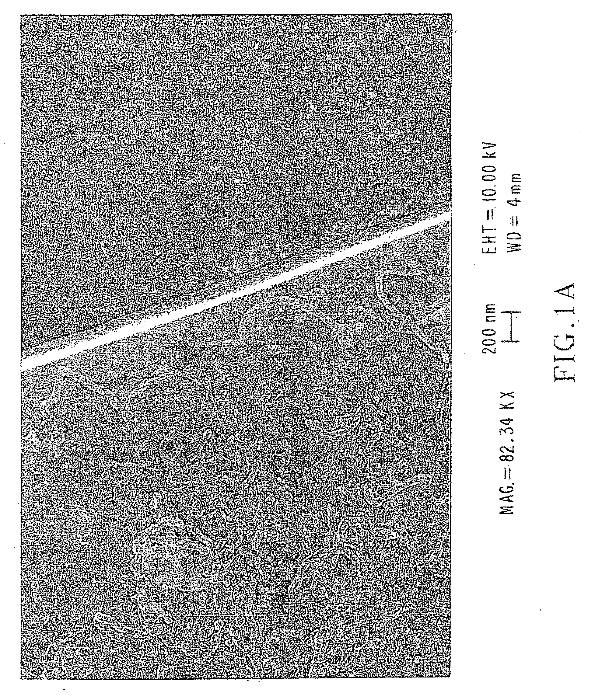 Control of carbon nanotube diameter using CVD or pecvd growth