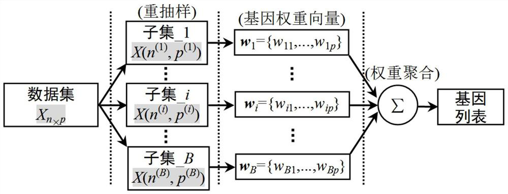 Tumor-specific gene identification method based on pls multi-perturbation integrated gene selection