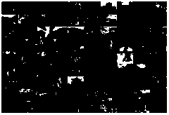 Non-reference image quality evaluation method based on high-quality natural image statistical magnitude model