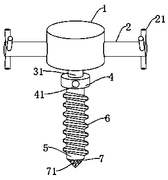 Rapid punching device for wild nursery stock planting