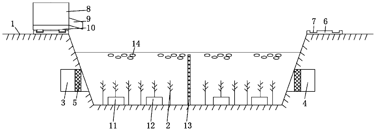 Special high-density Australia lobster breeding pond and method