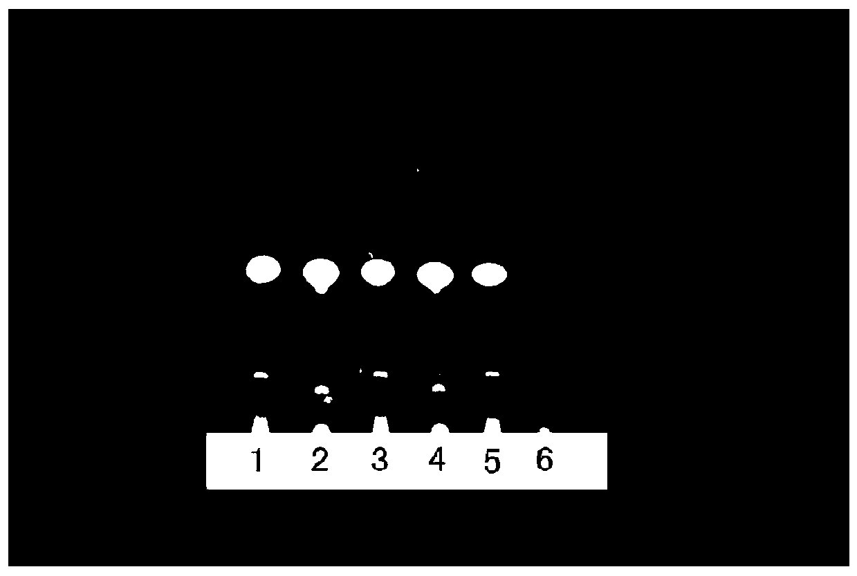 A detection method of traditional Chinese medicine composition for treating bruises