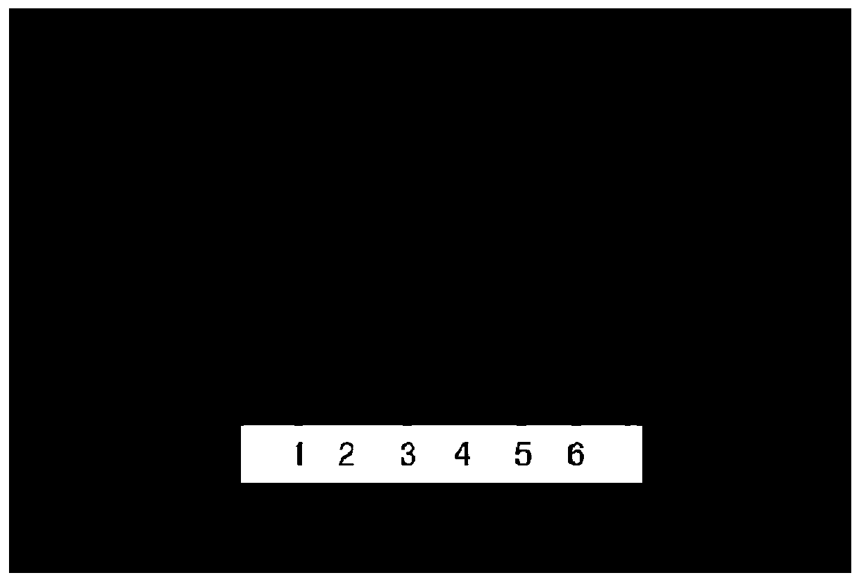 A detection method of traditional Chinese medicine composition for treating bruises