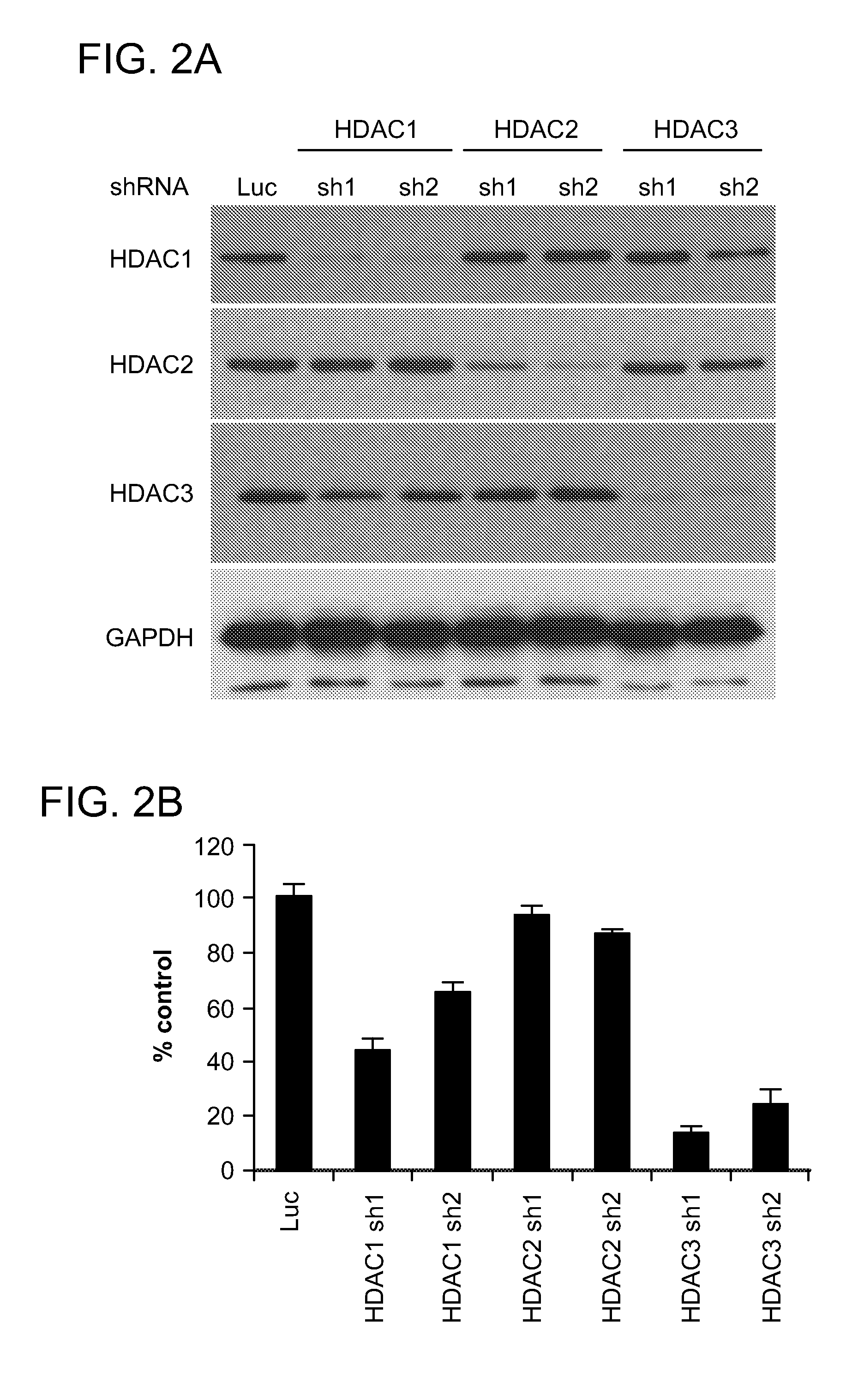 Inhibitors of histone deacetylase