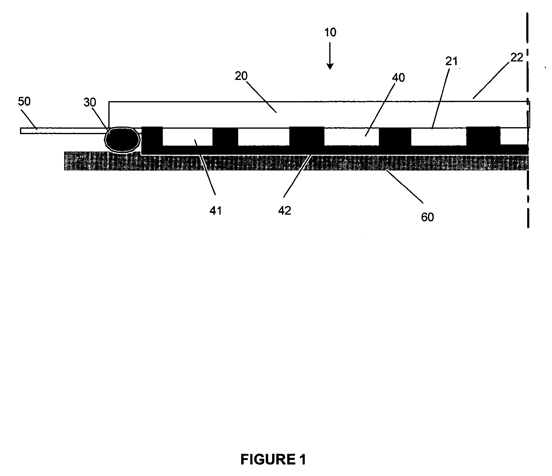 Electrode arrangement for applying electrical signals to the skin of an animal