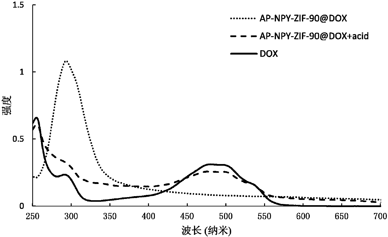 Anticancer drug complex, and preparation method and application thereof