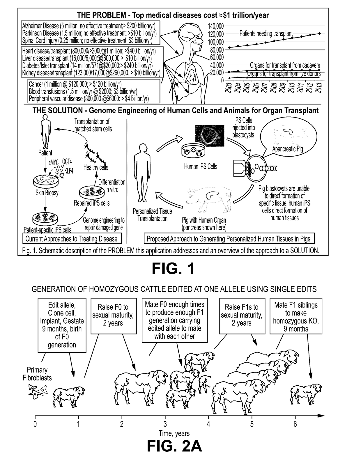 Engineering of humanized car t-cell and platelets by genetic complementation