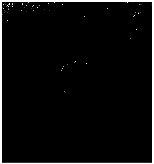 Preparation method of diamond coating layer, prepared diamond coating layer and cutter